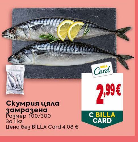 Скумрия цяла замразена Размер 100/300 За 1 кг