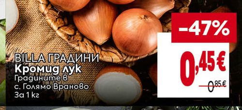 BILLA ГРАДИНИ Кромид лук