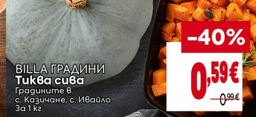 BILLA ГРАДИНИ Тиква сива
