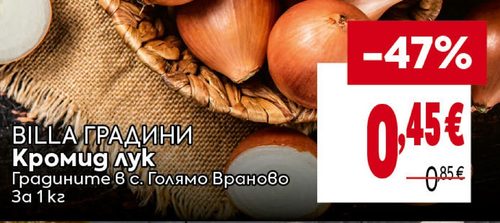 BILLA Градини Кромид лук