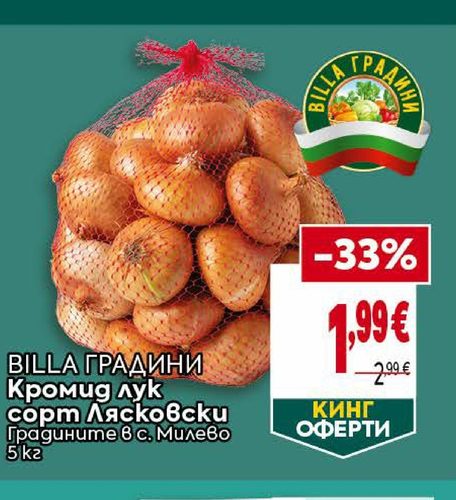BILLA ГРАДИНИ Кромид лук сорт Лясковски Градините в с. Милево 5 кг