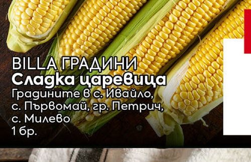 BILLA extcyr{ГРАДИНИ} extcyr{Сладка царевица}