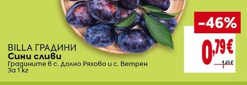 BILLA ГРАДИНИ Сини сливи
